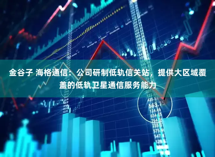 金谷子 海格通信：公司研制低轨信关站，提供大区域覆盖的低轨卫星通信服务能力